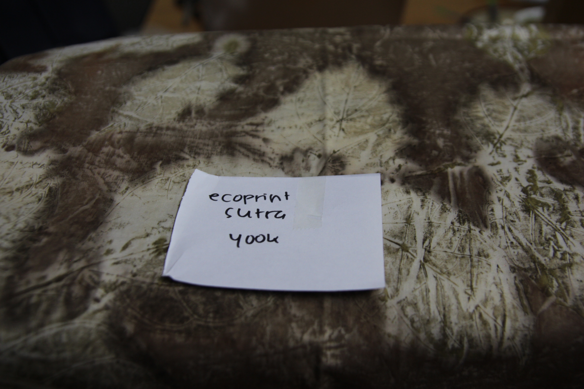 Kain Ecoprint sutra 1